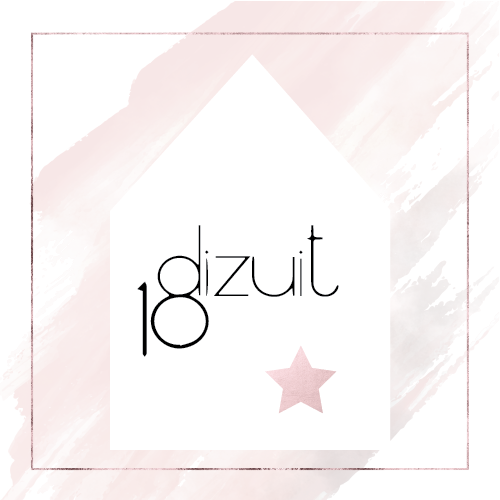 logo_dizuit_home